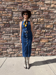 Adela Denim Dress Dark Wash
