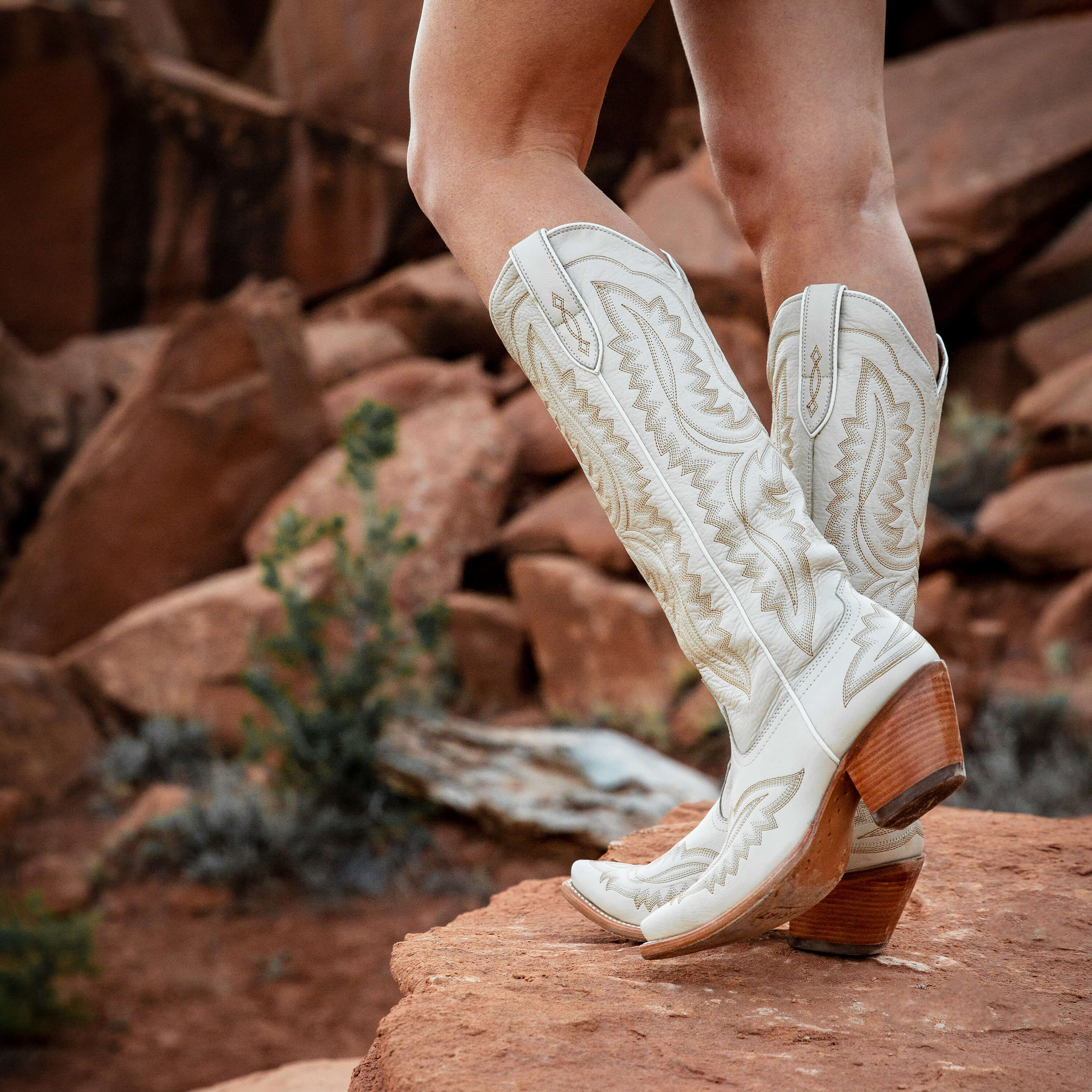 Women's Ariat Casanova Blanco Boots