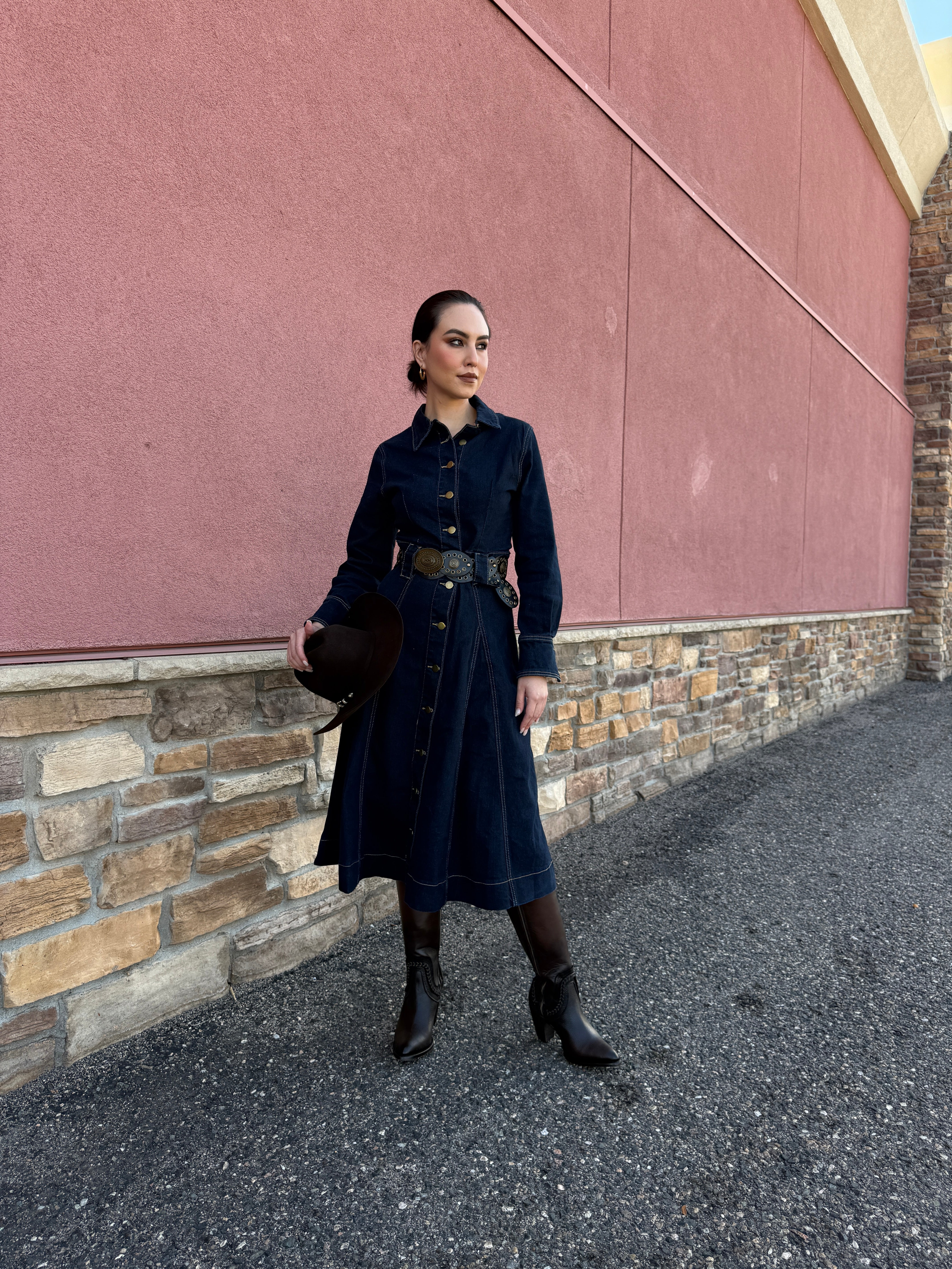 Maria Luisa Denim Dress