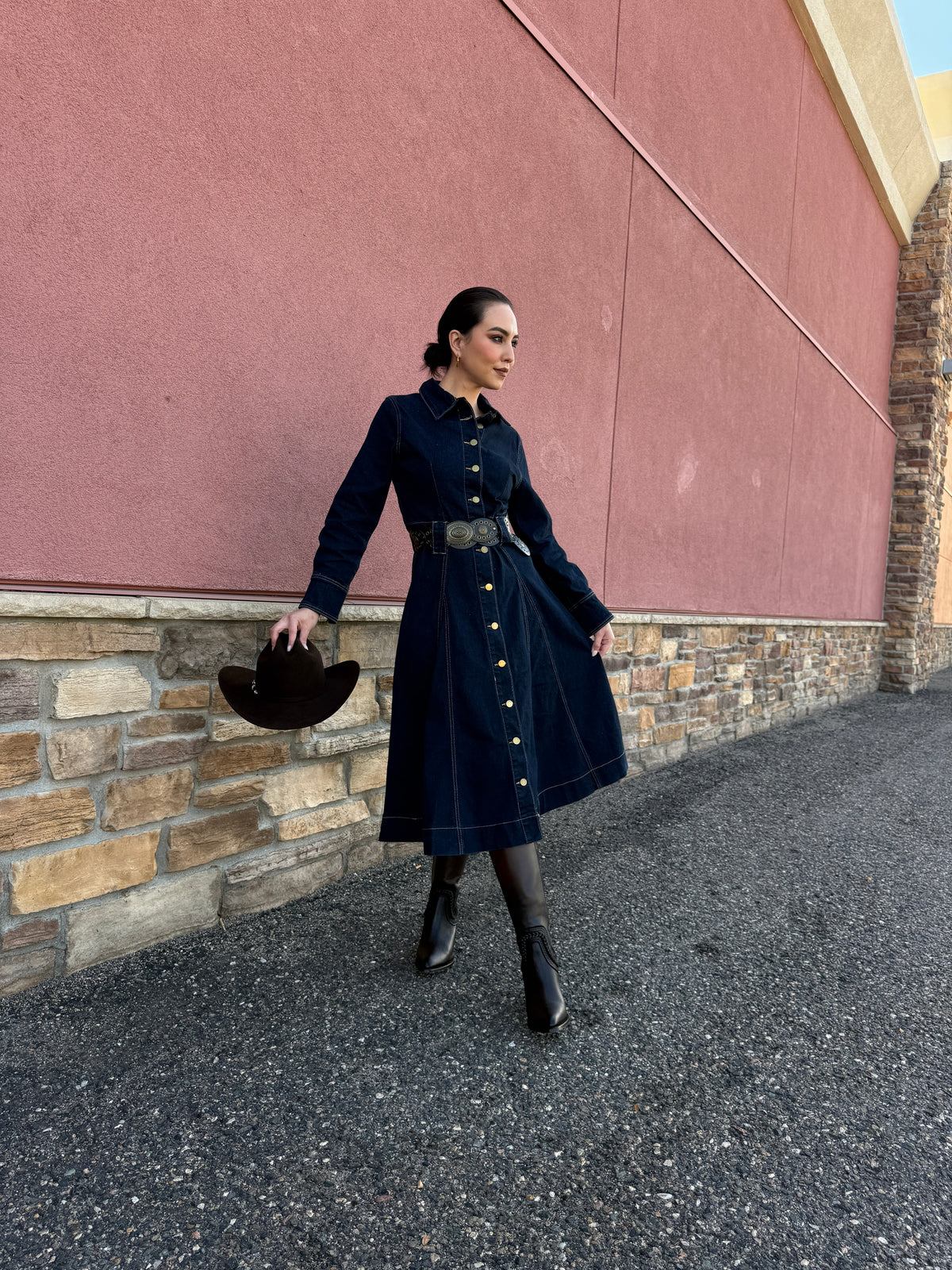 Maria Luisa Denim Dress