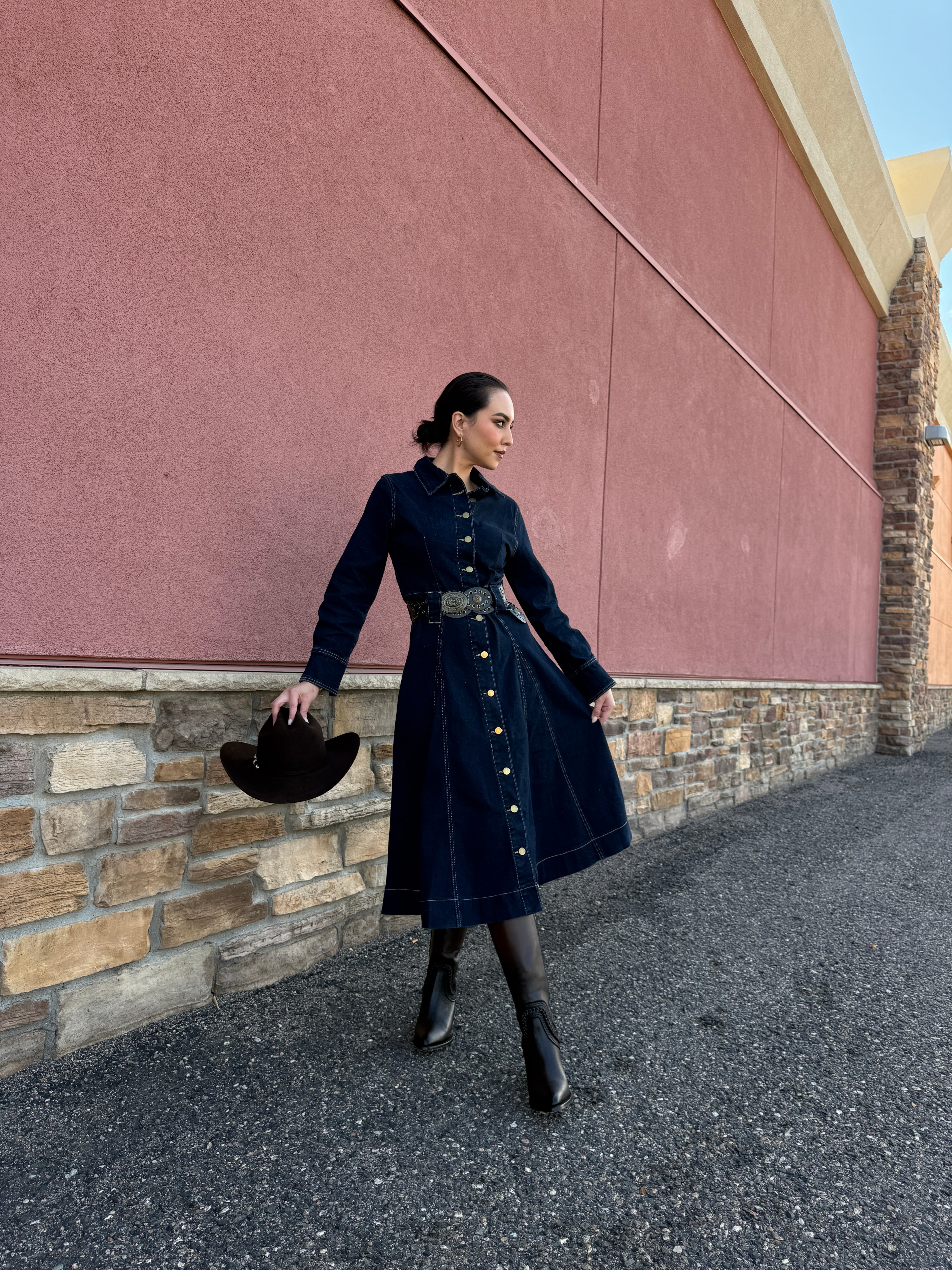 Maria Luisa Denim Dress