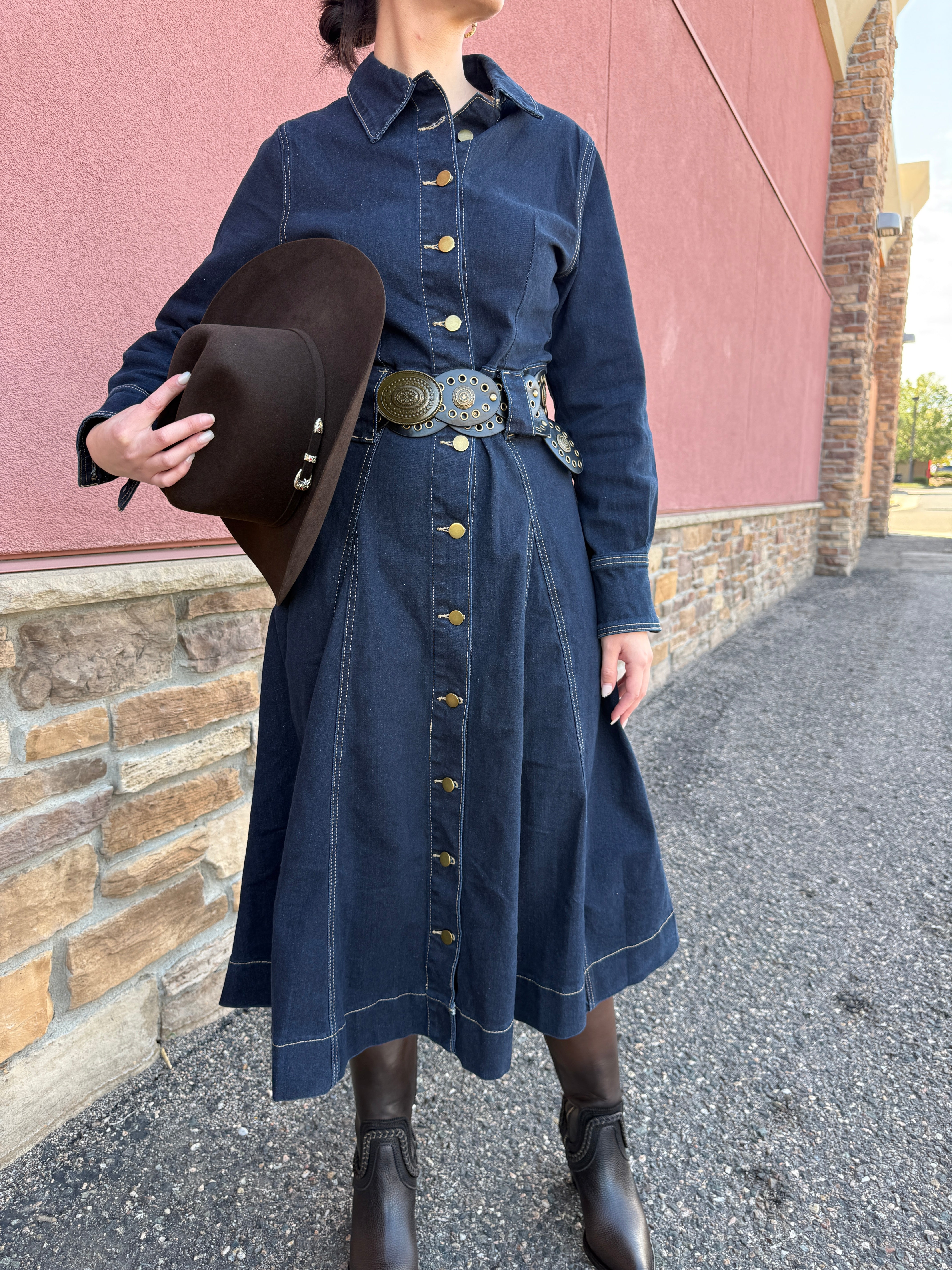 Maria Luisa Denim Dress