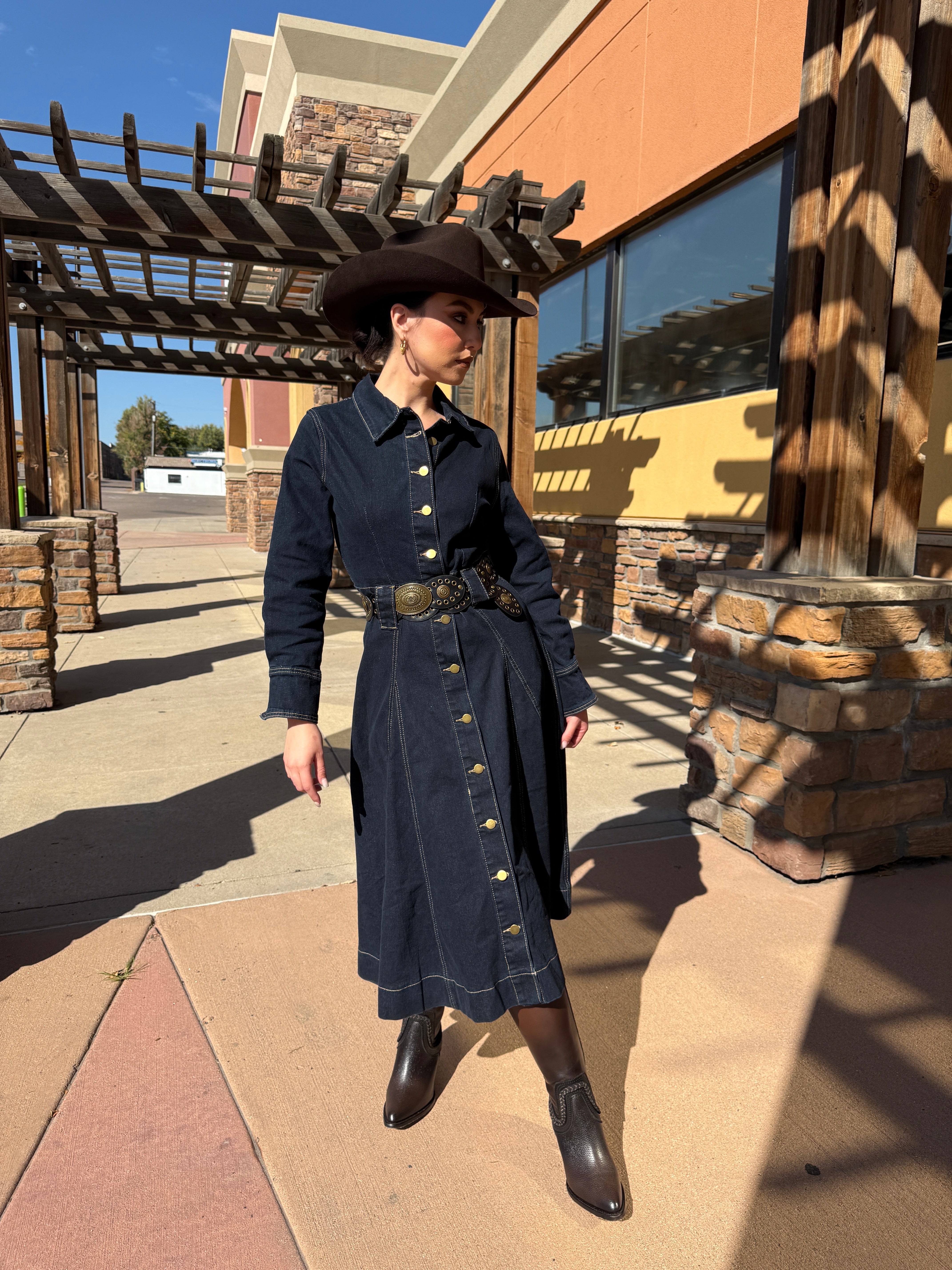 Maria Luisa Denim Dress