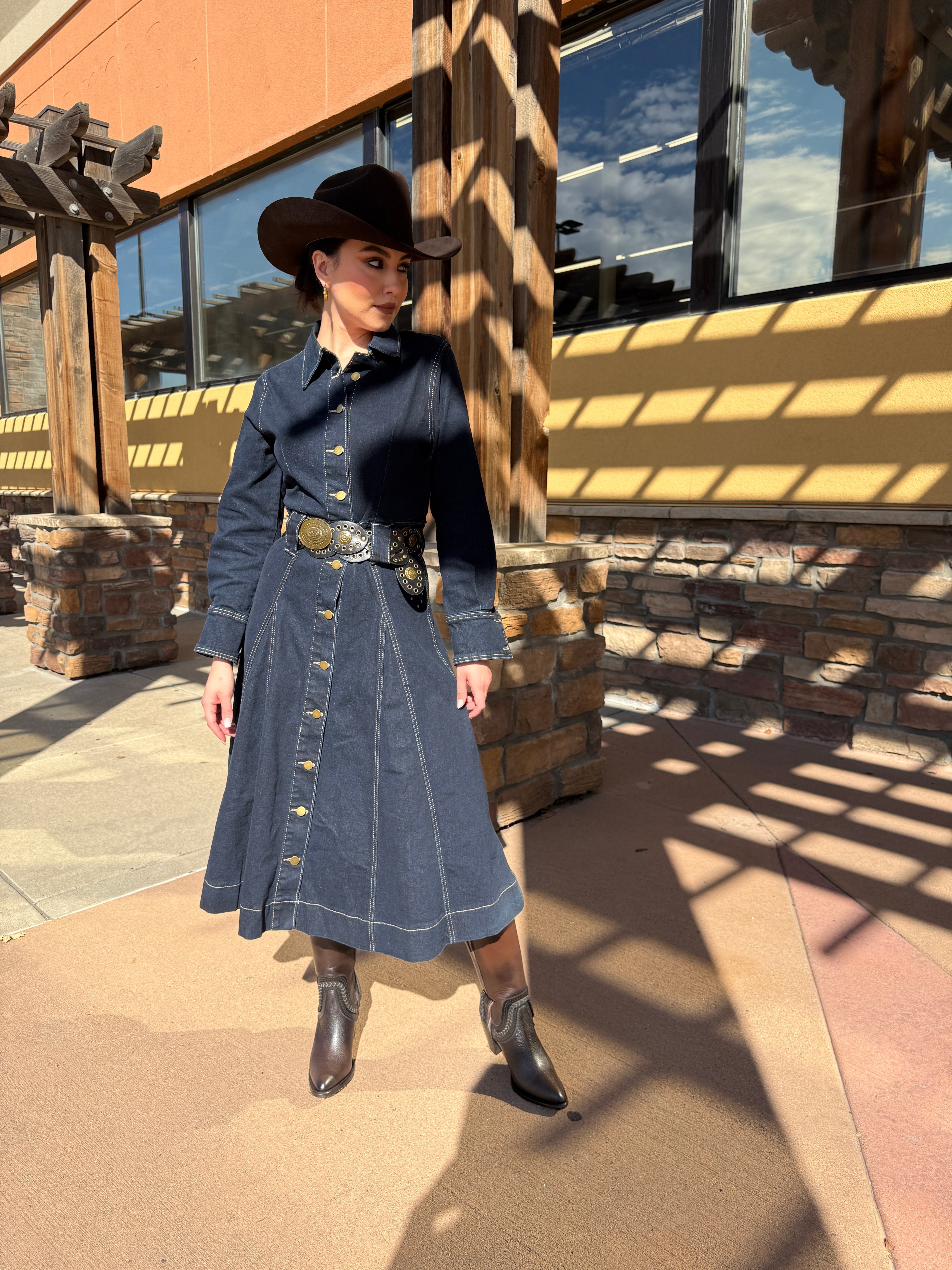 Maria Luisa Denim Dress