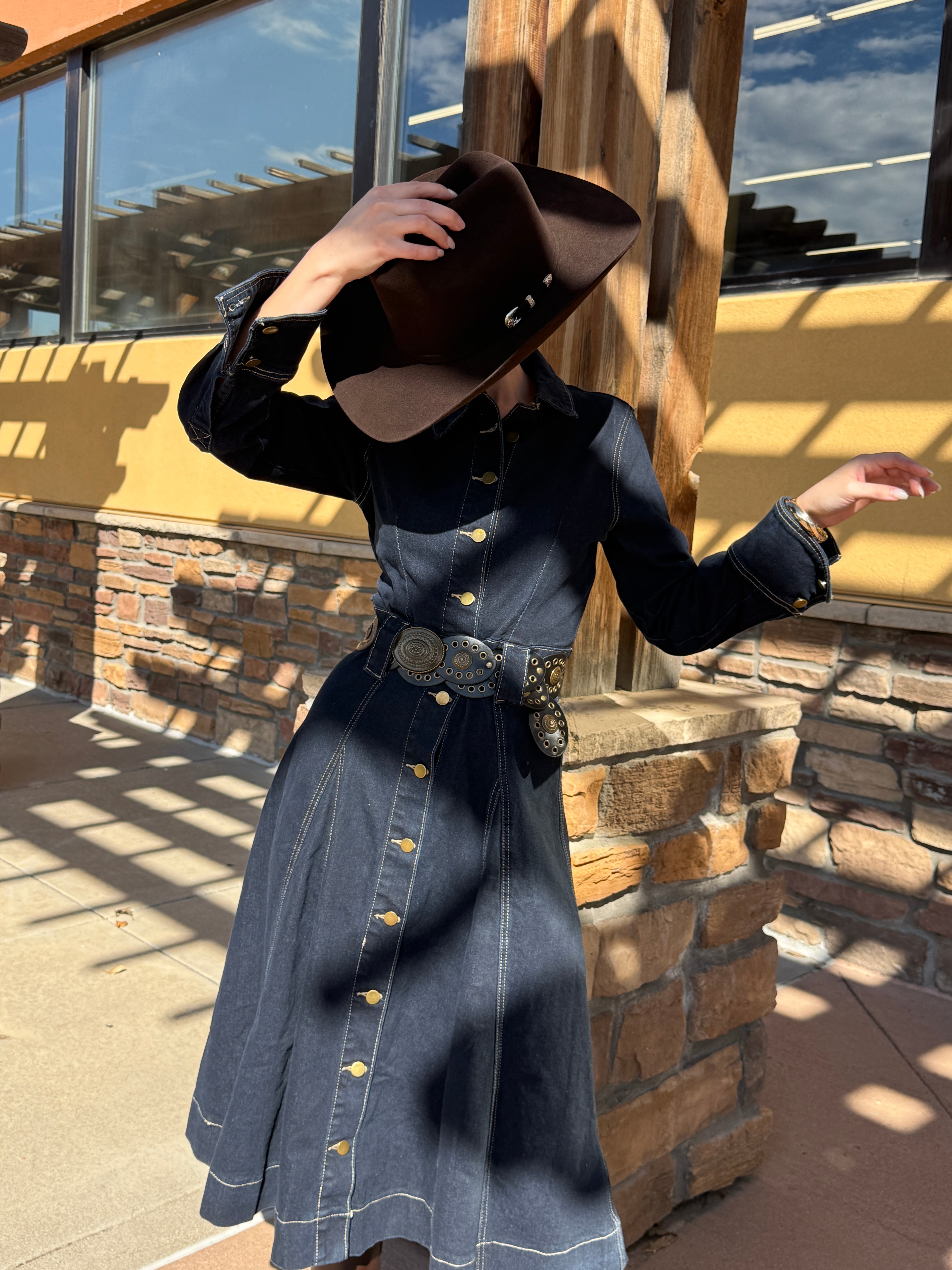 Maria Luisa Denim Dress