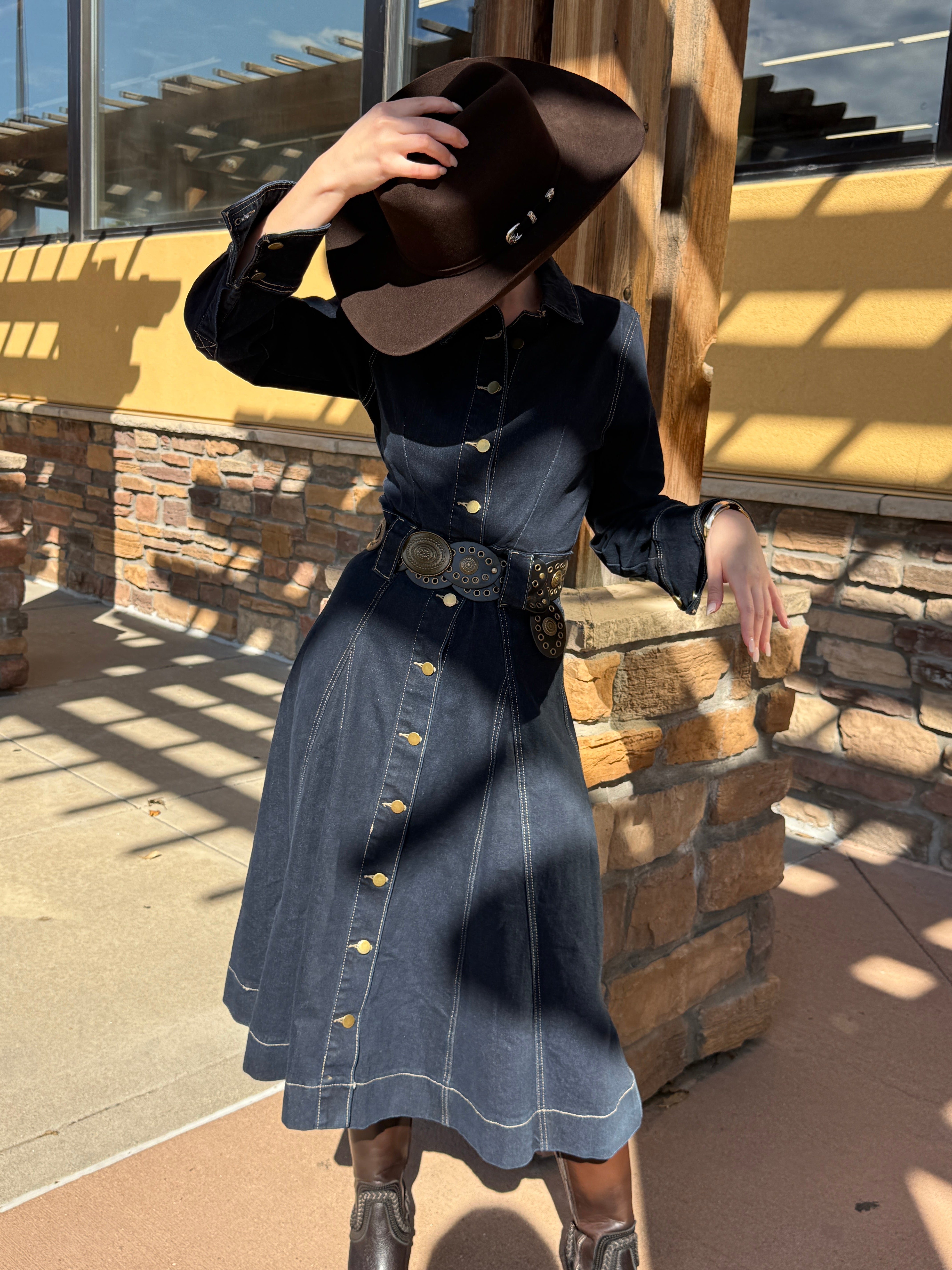 Maria Luisa Denim Dress