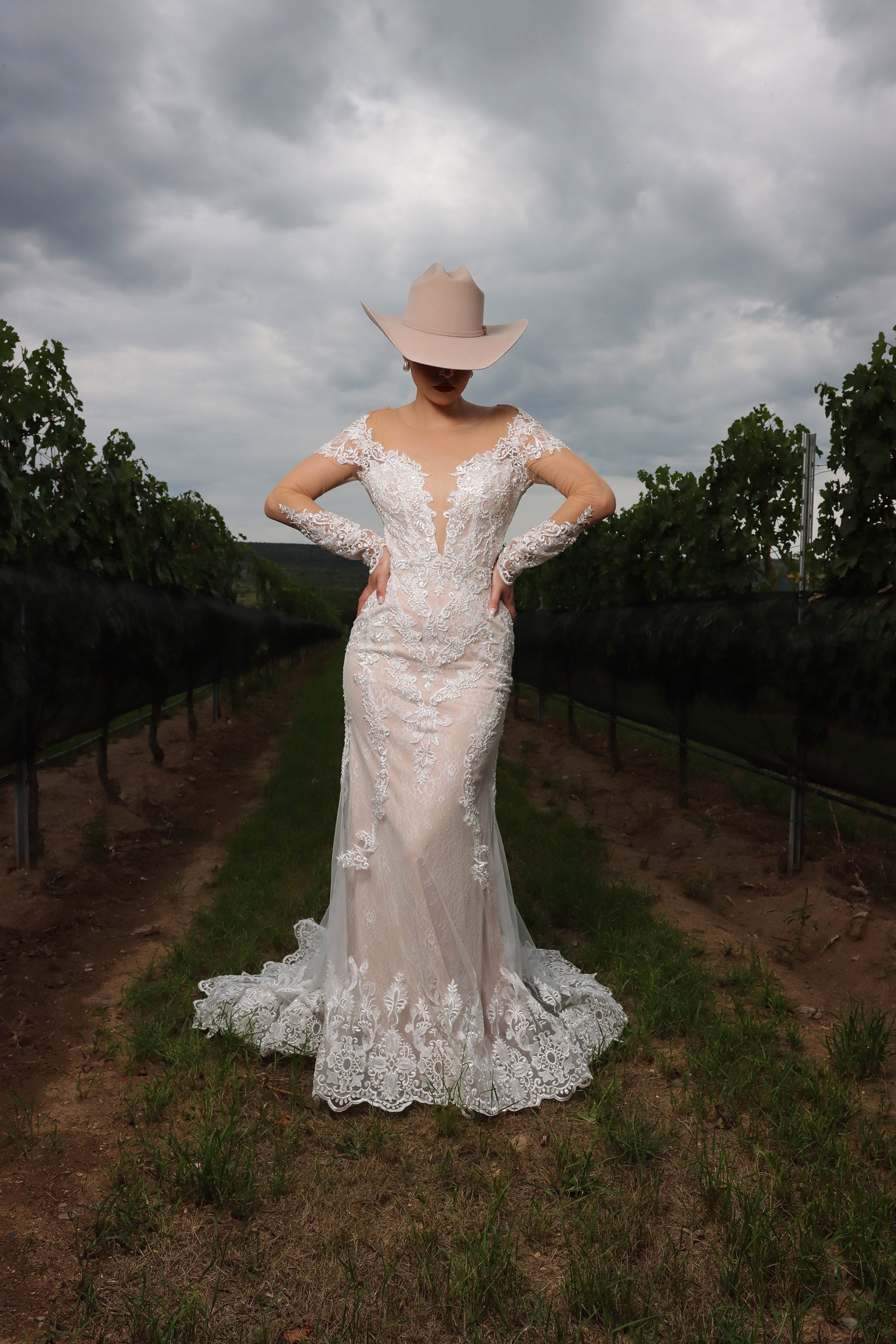 LaDivine by Cinderella Divine Wedding Gown A1022