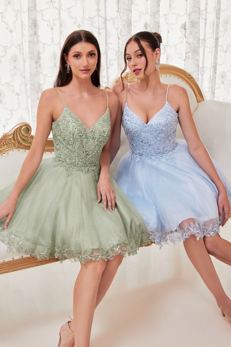 LaDivine by Cinderella Divine Dama Dress CD0213
