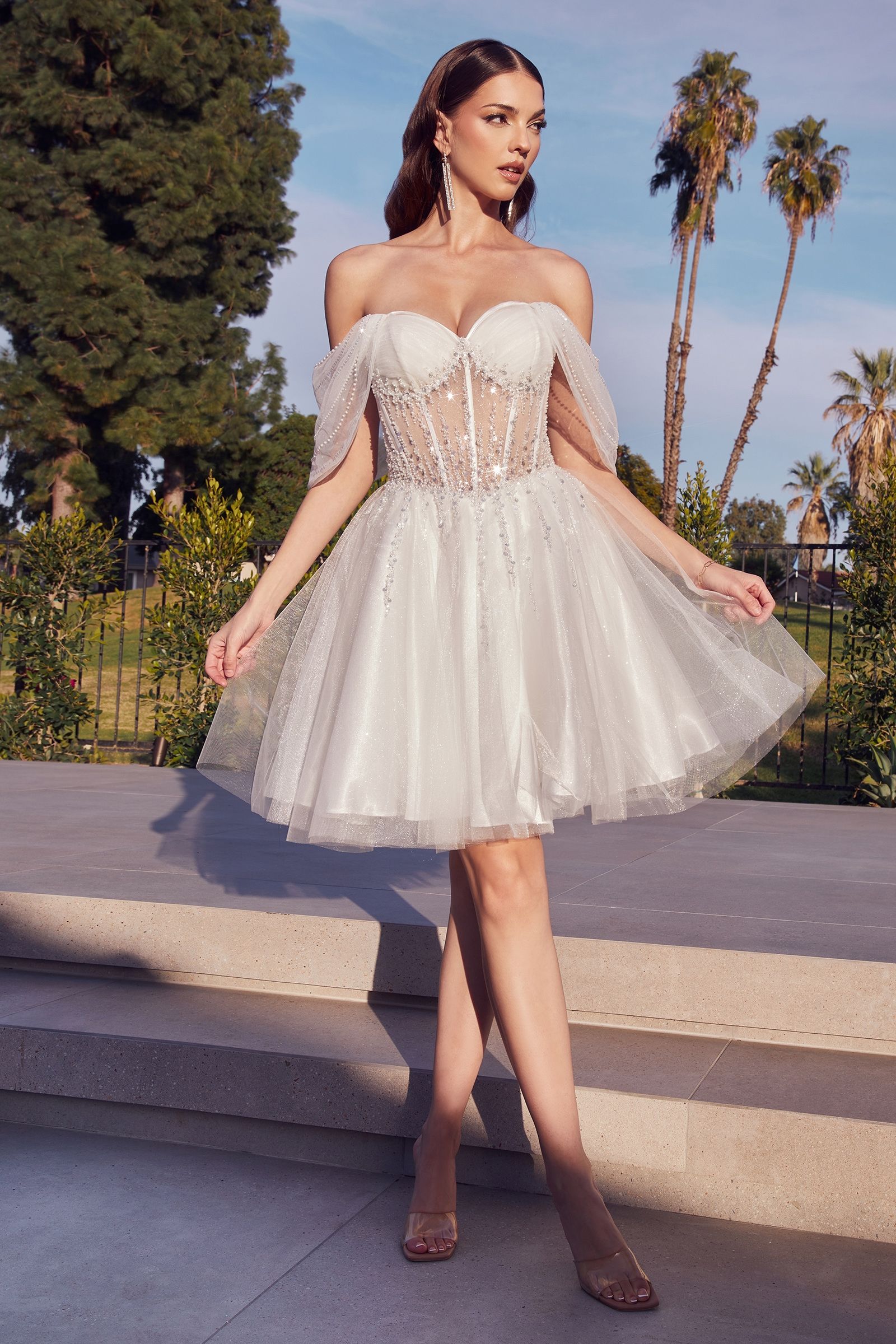 LaDivine by Cinderella Divine Dama Dress CD0211