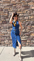 Adela Denim Dress Dark Wash