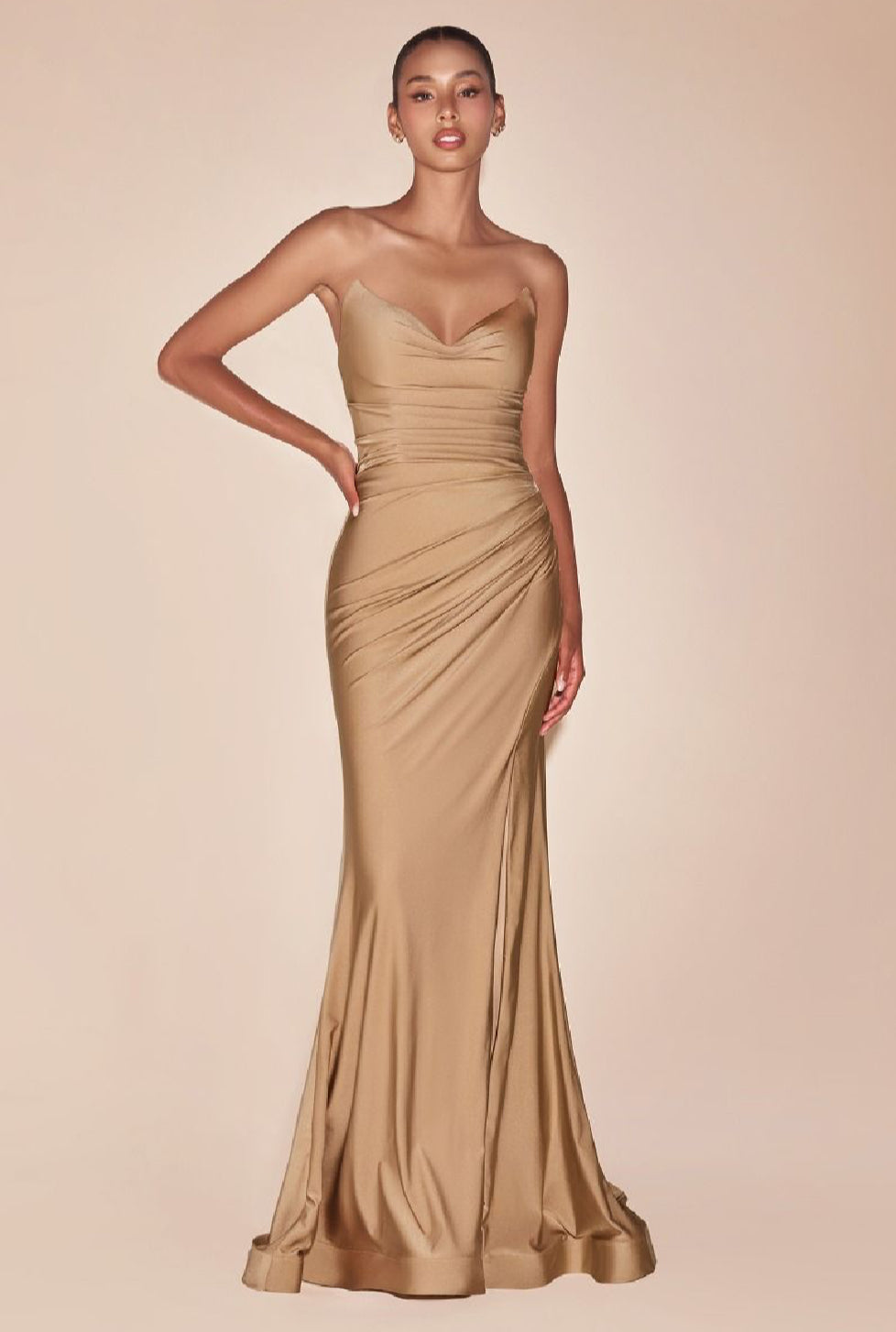 LaDivine by Cinderella Divine Evening Gown CD791