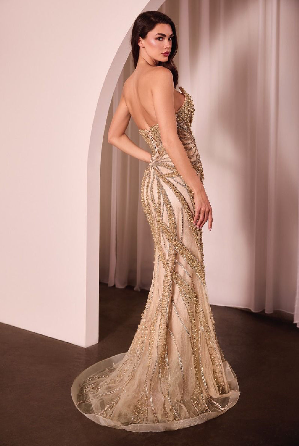 LaDivine by Cinderella Divine Evening Gown CC0688