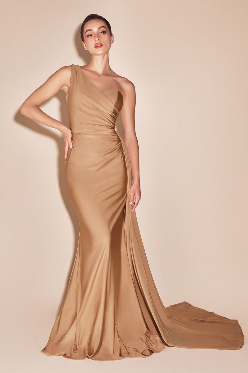 LaDivine by Cinderella Divine Evening Gown PT004