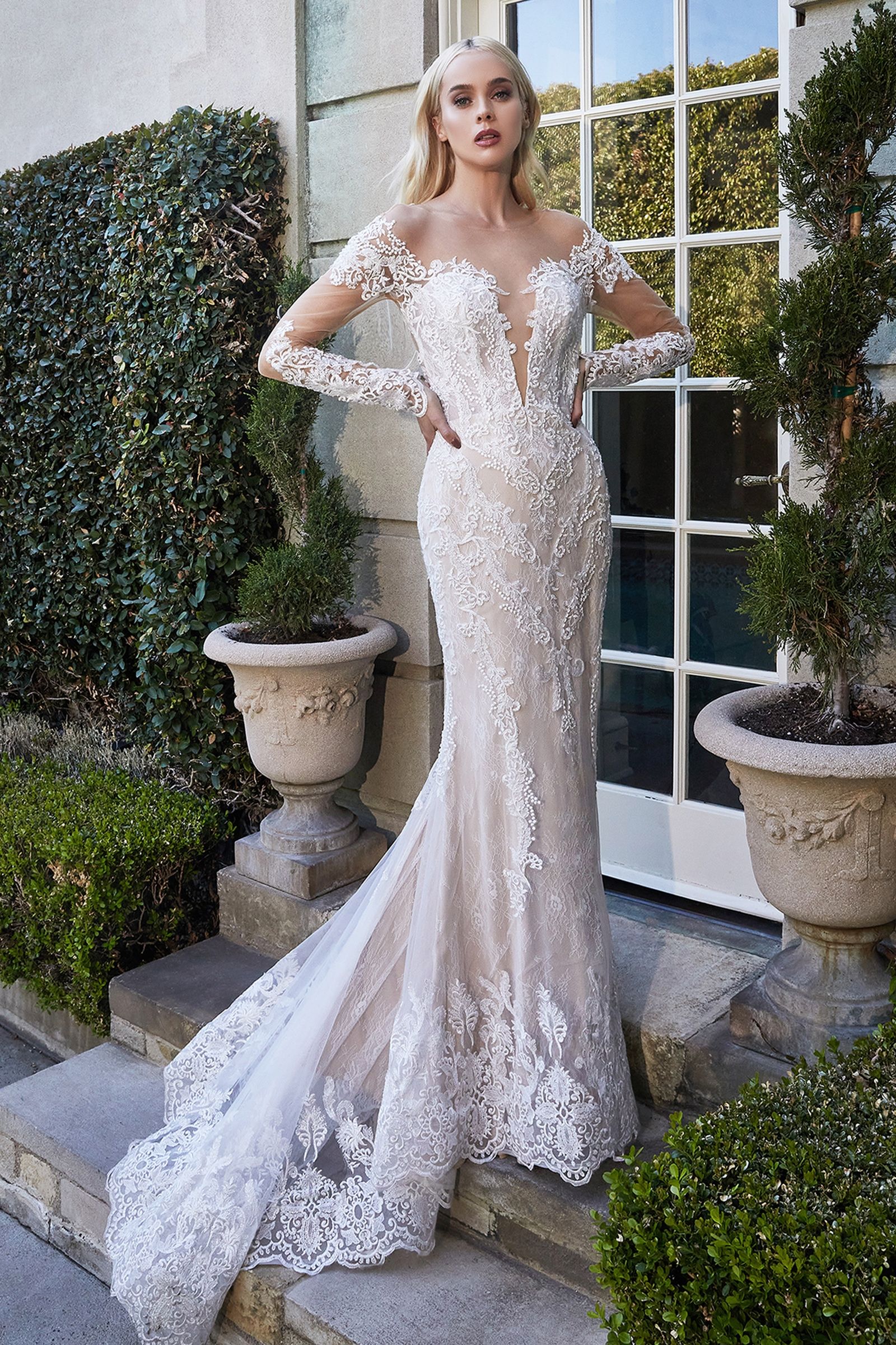 LaDivine by Cinderella Divine Wedding Gown A1022
